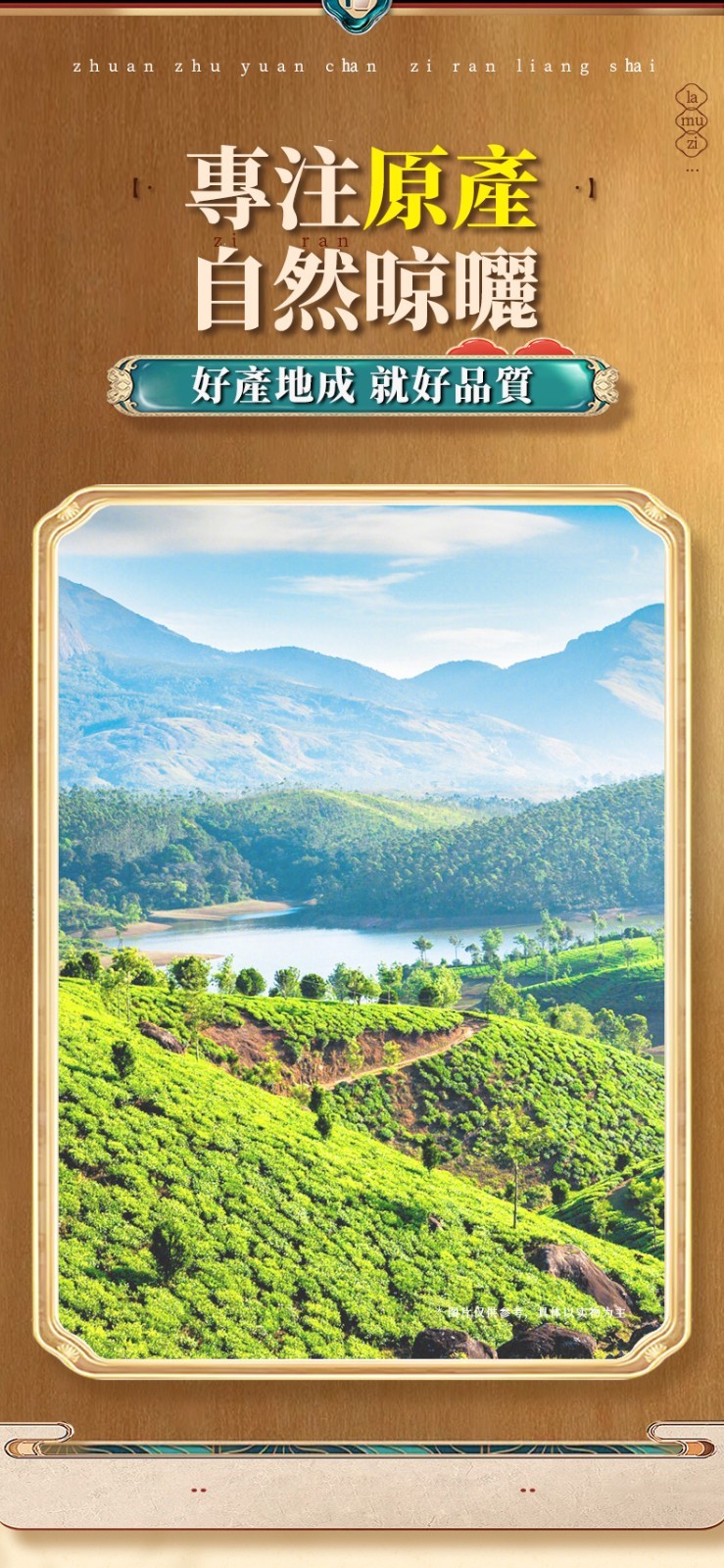 1691900789197463.jpg